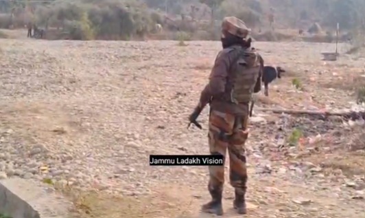 'Suspicious Movement Triggers Search Operation in Kathua's Hiranagar Area'
